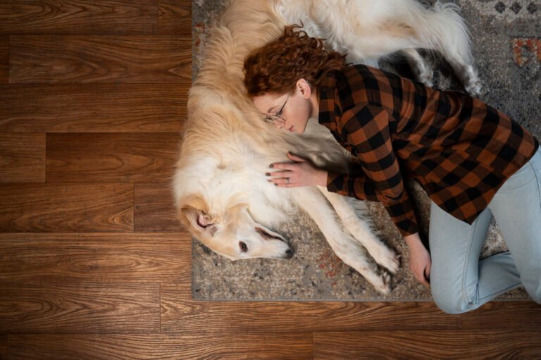 dog beds for humans